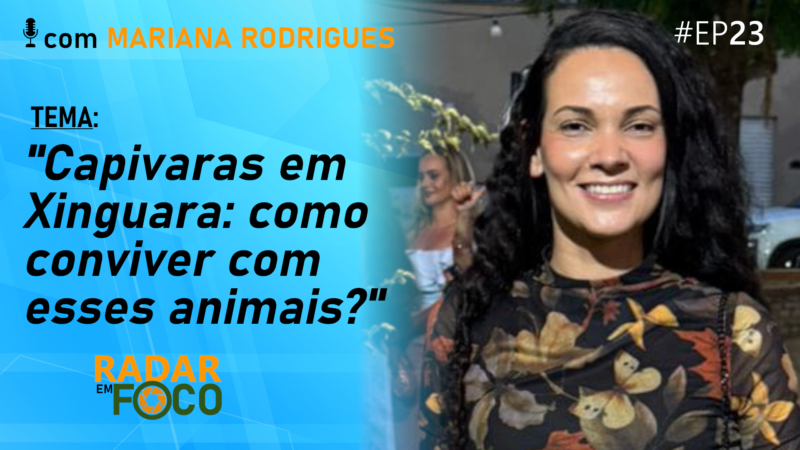 CAPIVARAS EM XINGUARA: COMO CONVIVER COM ESSES ANIMAIS? – Radar em Foco #23